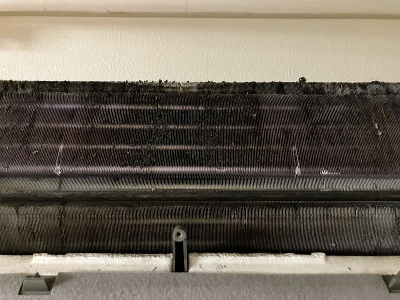壁掛けエアコン内部の黒カビ クリーニング前